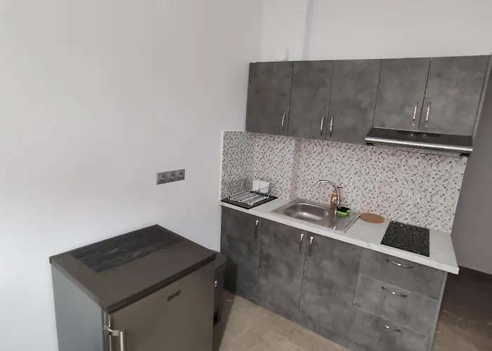 Vaso's Apartamento Tolón